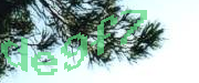 Sorry, this is a captcha