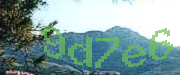 Sorry, this is a captcha