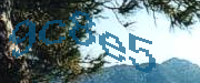 Sorry, this is a captcha