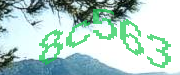 Sorry, this is a captcha