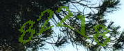 Sorry, this is a captcha