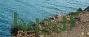 Sorry, this is a captcha