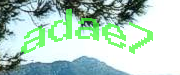 Sorry, this is a captcha