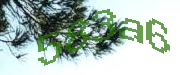 Sorry, this is a captcha