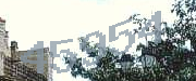 Sorry, this is a captcha