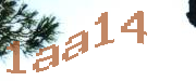 Sorry, this is a captcha