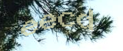 Sorry, this is a captcha