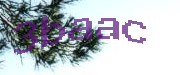 Sorry, this is a captcha