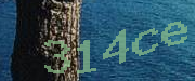 Sorry, this is a captcha