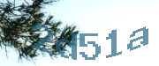 Sorry, this is a captcha